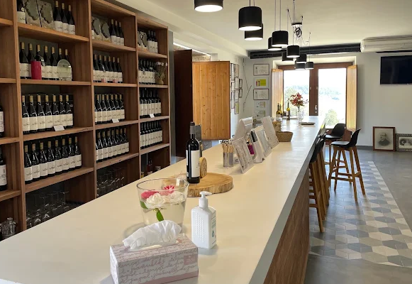 Visit and wine tasting in Adega