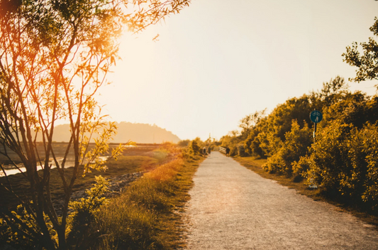 Classic Silver Path