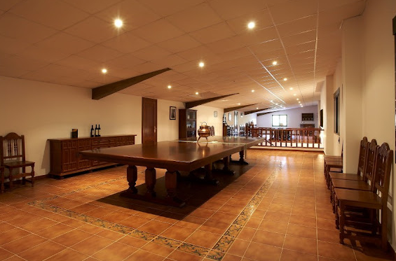 Visit and wine tasting in Adega