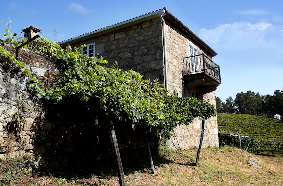 Visit and wine tasting in Adega