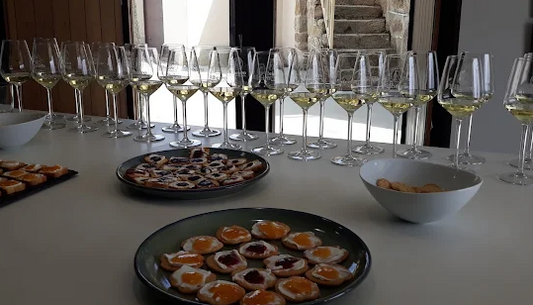 Visit and wine tasting in Adega