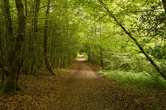 Portugiesischer bequemer Weg